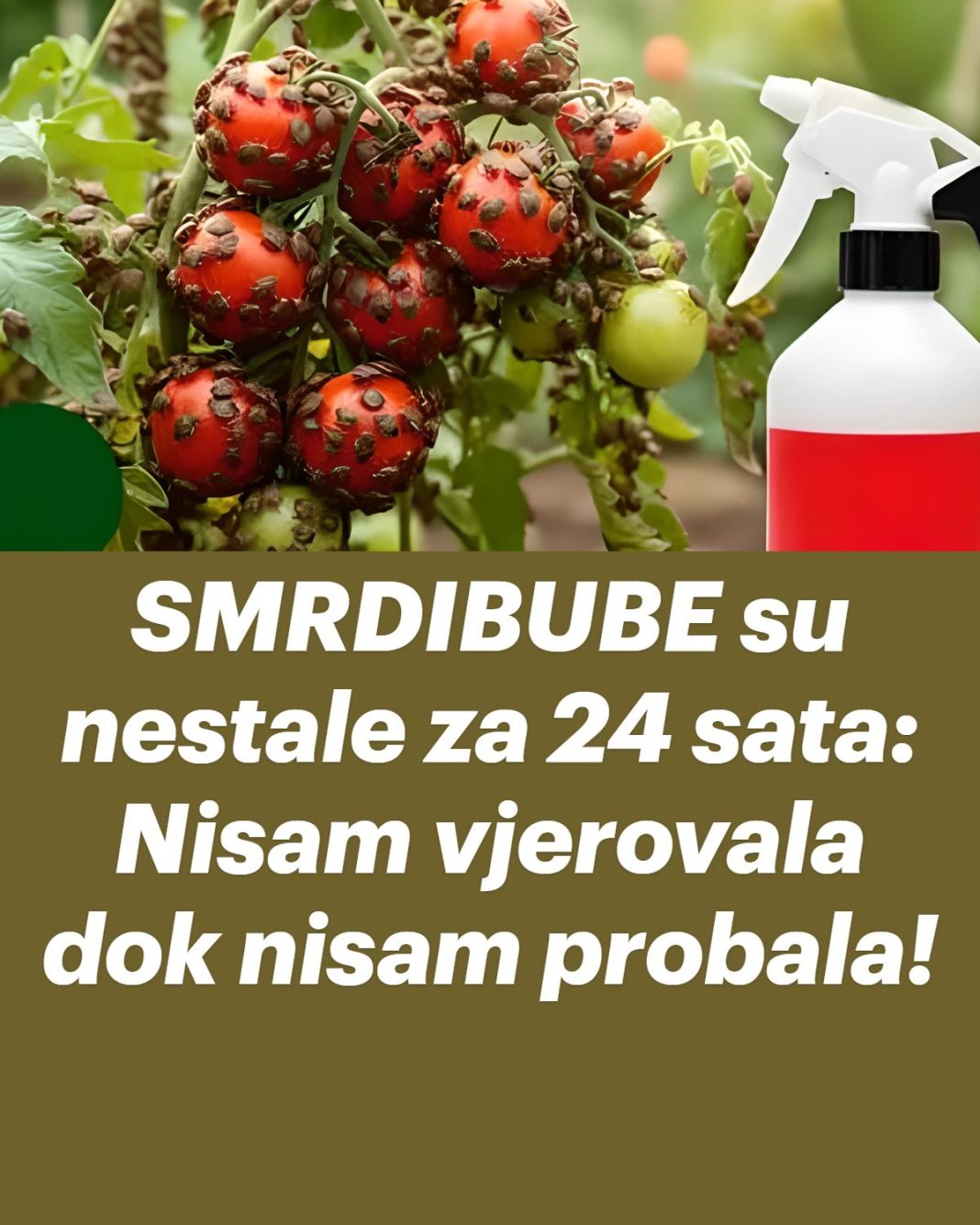 SMRDIBUBE su nestale za 24 sata: Nisam vjerovala dok nisam probala! - featured image