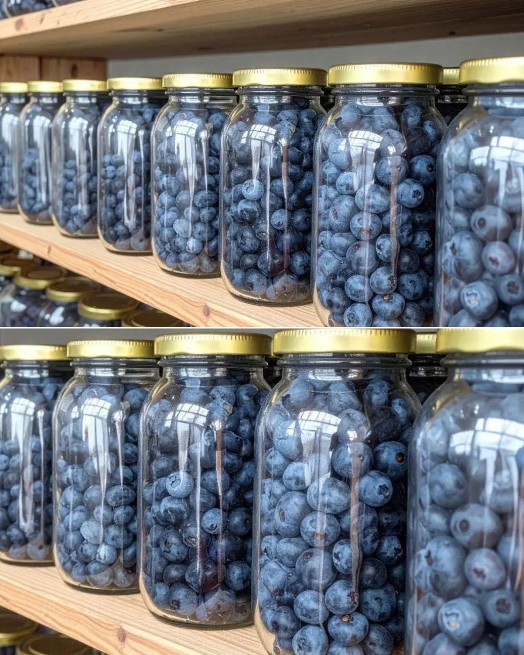 OTKRITE BAKINU TAJNU: Sačuvajte borovnice kao nikad prije! Svidjet će vam se ova jednostavna metoda za očuvanje svježine i ukusa borovnica. - featured image