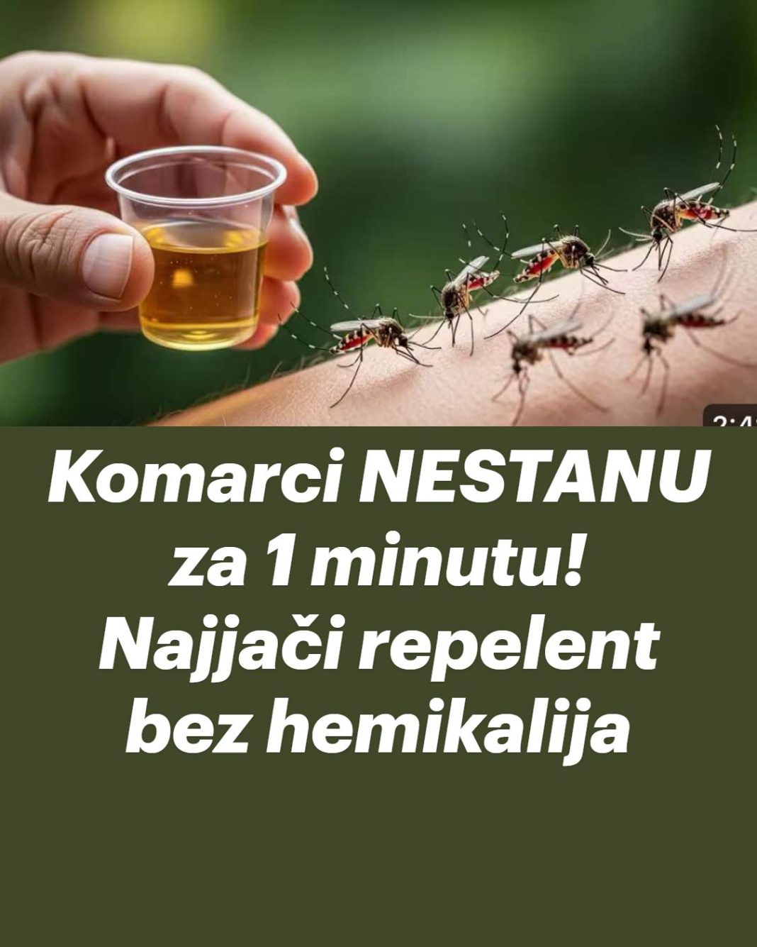 Komarci NESTANU za 1 minutu! Najjači repelent bez hemikalija… - featured image