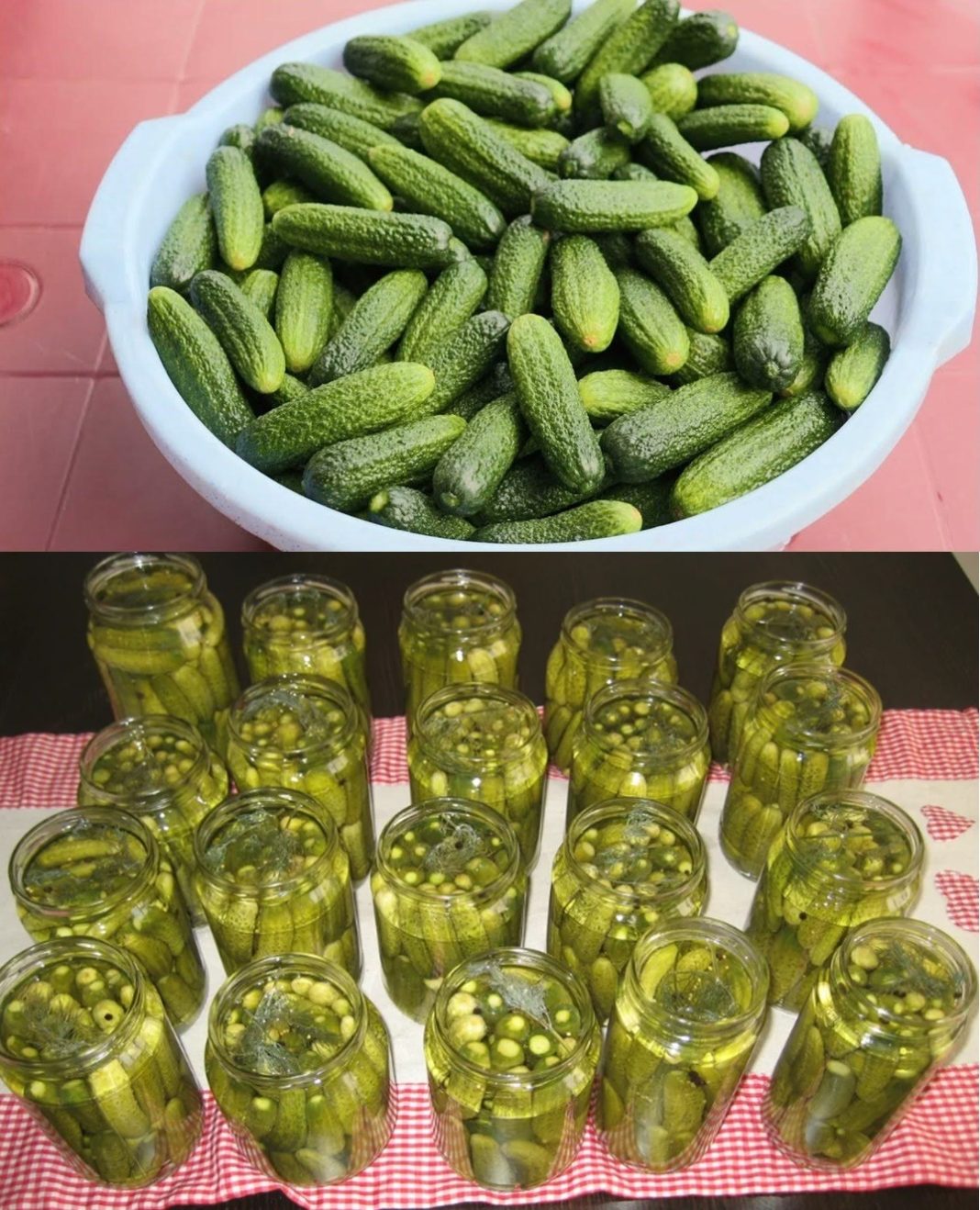 KISALI KRASTAVCI BEZ KONZERVANSA…Uz ovaj TRIK kiseli krastavci će biti bolji od KUPOVNIH i dugo HRSKAVI i sočni - featured image