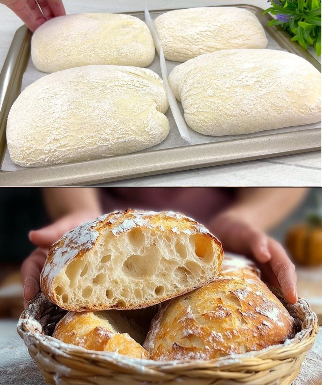 Dobijte SAVRŠENI italijanski hljeb za 1 sat bez mijesenja! - featured image