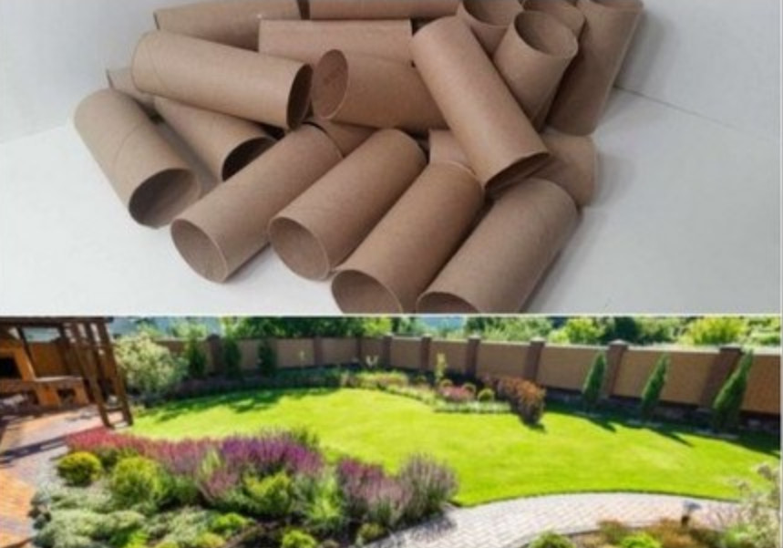 Ne bacajte rolnu toalet papira: Jedna žena je napravila čudo – i svi će ovog proleća posmatrati njeno dvorište - featured image Ne bacajte rolnu toalet papira: Jedna žena je napravila čudo – i svi će ovog proleća posmatrati njeno dvorište - featured image