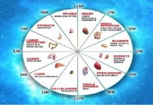 Kineski biološki sat ne griješi: Ovako otkrijte sami koji organ vam ne radi dobro! Kineski biološki sat ne griješi: Ovako otkrijte sami koji organ vam ne radi dobro! - featured image