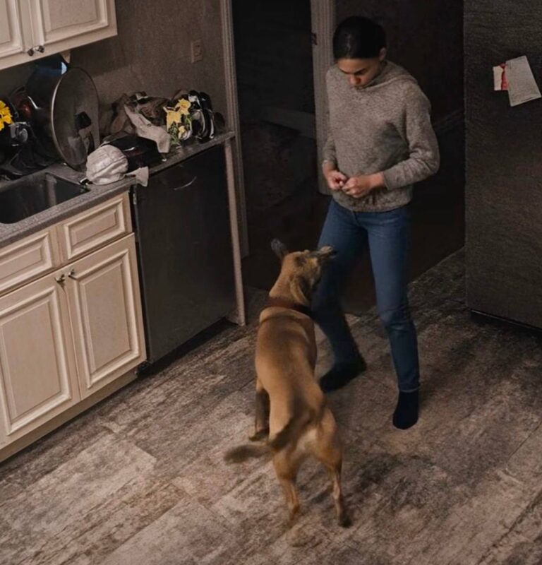 Žena se žalila da njihov pas stalno bez razloga napada nju: muž joj nije povjerovao i odlučio je postaviti kameru kako bi promatrao ženu i psa, ali ono što je vidio na ekranu šokiralo ga je 😨😱 - featured image Žena se žalila da njihov pas stalno bez razloga napada nju: muž joj nije povjerovao i odlučio je postaviti kameru kako bi promatrao ženu i psa, ali ono što je vidio na ekranu šokiralo ga je 😨😱 - featured image