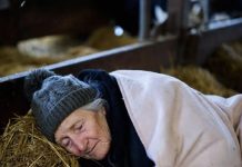 Kada su me potcenili: Priča o dostojanstvu, pravima i snazi u poznim godinama Kada su me potcenili: Priča o dostojanstvu, pravima i snazi u poznim godinama - featured image