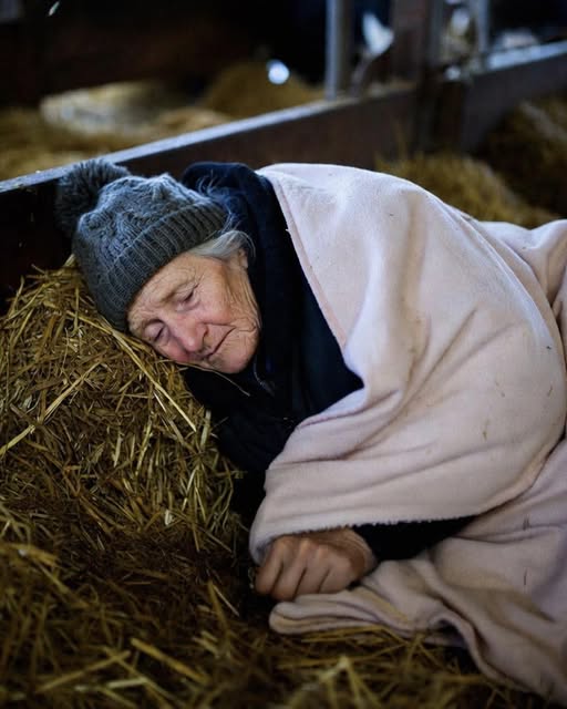 Kada su me potcenili: Priča o dostojanstvu, pravima i snazi u poznim godinama - featured image Kada su me potcenili: Priča o dostojanstvu, pravima i snazi u poznim godinama - featured image