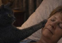 Mačka je svake noći budila svoju vlasnicu i tjerala je iz spavaće sobe: žena je mislila da mačka ima psihičke probleme, sve dok je nije odvela veterinaru. Mačka je svake noći budila svoju vlasnicu i tjerala je iz spavaće sobe: žena je mislila da mačka ima psihičke probleme, sve dok je nije odvela veterinaru. - featured image