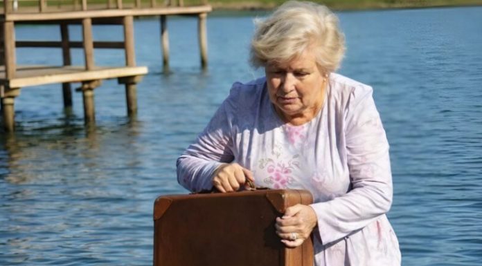 Slučajno sam vidjela snahu kako baca stari smeđi kofer u duboko jezero: odmah mi je izgledalo veoma čudno, a kada sam izvukla kofer iz vode, užasnula sam se onim što je bilo unutra Slučajno sam vidjela snahu kako baca stari smeđi kofer u duboko jezero: odmah mi je izgledalo veoma čudno, a kada sam izvukla kofer iz vode, užasnula sam se onim što je bilo unutra - featured image