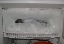 Ako vam se u frižideru gomila led, ubacite samo jednu namirnicu i problem će biti riješen Ako vam se u frižideru gomila led, ubacite samo jednu namirnicu i problem će biti riješen - featured image